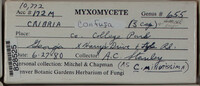 Image Associated With the Occurence